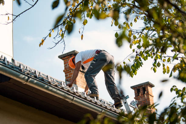Best Shingle Roofing Installation  in Jamestown, OH