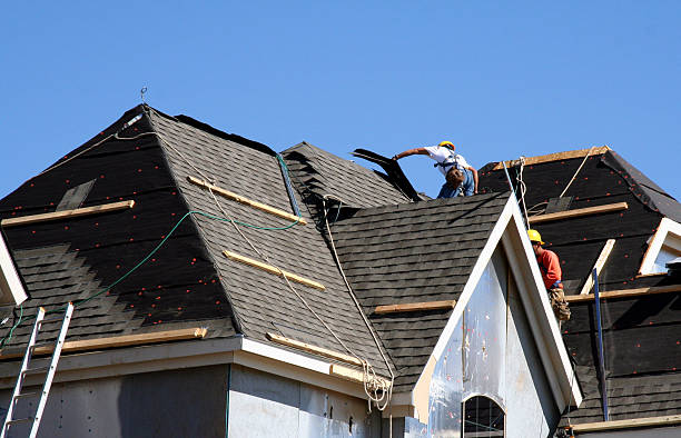 Best Roof Gutter Cleaning  in Jamestown, OH