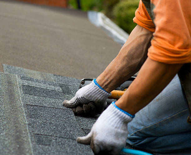 Best Roof Inspection Near Me  in Jamestown, OH